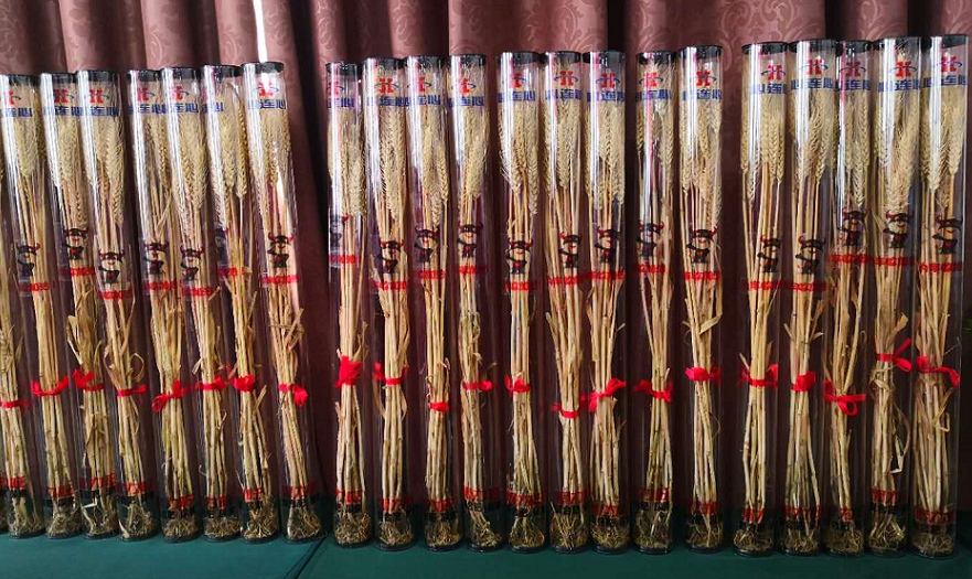 1593762972598259.png image.png