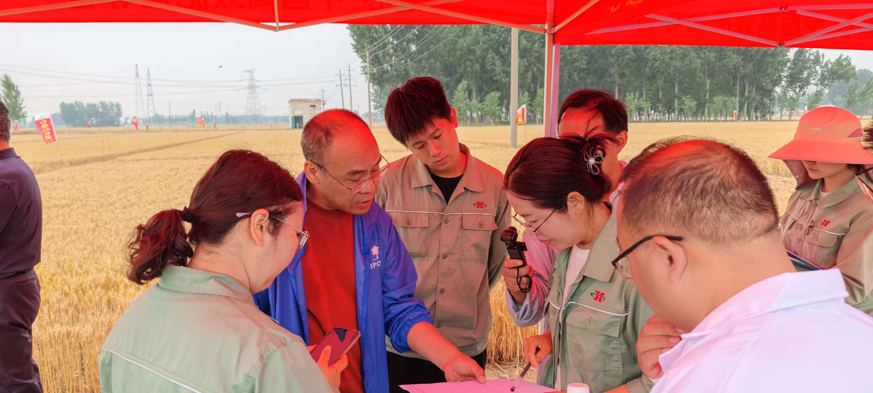 高溫旱情下科技賦能農業(yè)！心連心集團主持的兩個“十四五”課題交出亮眼成績單